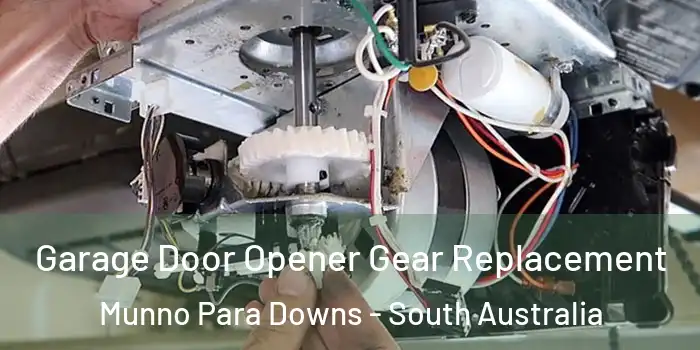 Garage Door Opener Gear Replacement Munno Para Downs - South Australia