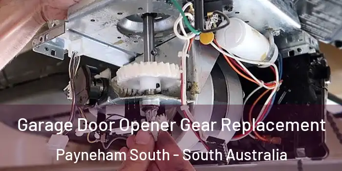 Garage Door Opener Gear Replacement Payneham South - South Australia