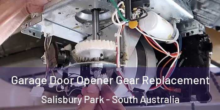 Garage Door Opener Gear Replacement Salisbury Park - South Australia
