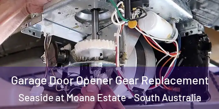 Garage Door Opener Gear Replacement Seaside at Moana Estate - South Australia