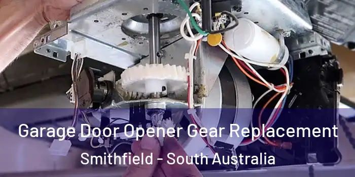 Garage Door Opener Gear Replacement Smithfield - South Australia