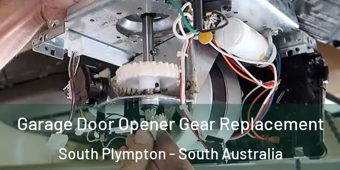 Garage Door Opener Gear Replacement South Plympton - South Australia