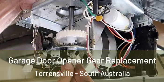 Garage Door Opener Gear Replacement Torrensville - South Australia