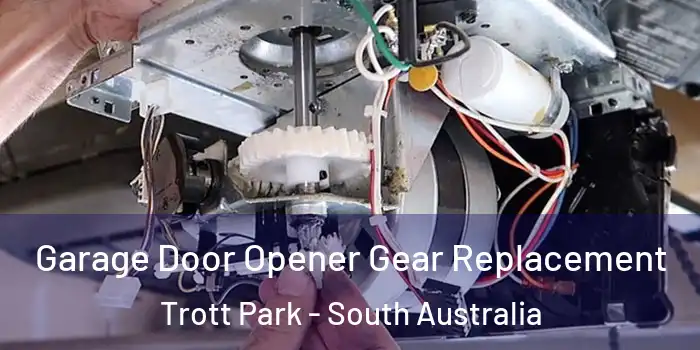 Garage Door Opener Gear Replacement Trott Park - South Australia