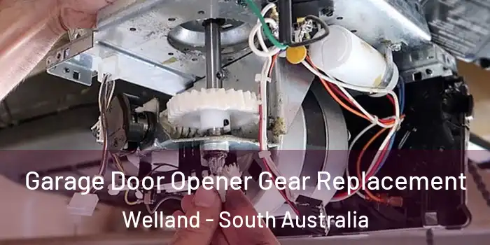 Garage Door Opener Gear Replacement Welland - South Australia