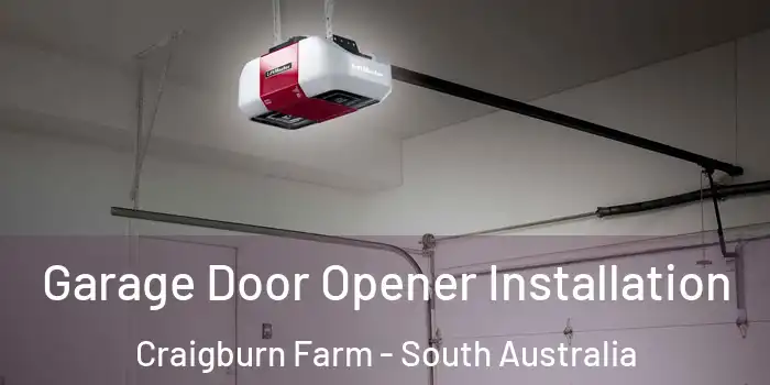 Garage Door Opener Installation Craigburn Farm - South Australia