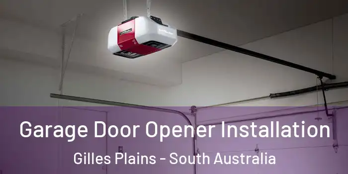 Garage Door Opener Installation Gilles Plains - South Australia