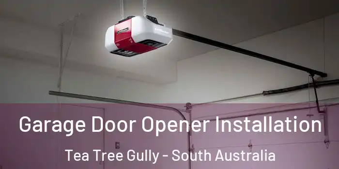 Garage Door Opener Installation Tea Tree Gully - South Australia