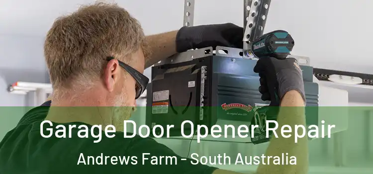 Garage Door Opener Repair Andrews Farm - South Australia