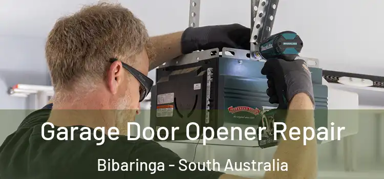 Garage Door Opener Repair Bibaringa - South Australia