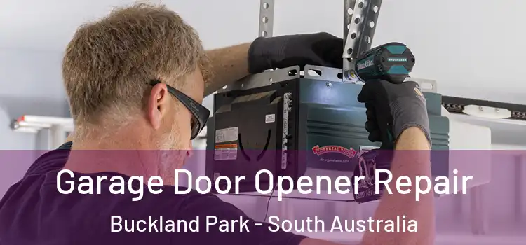 Garage Door Opener Repair Buckland Park - South Australia