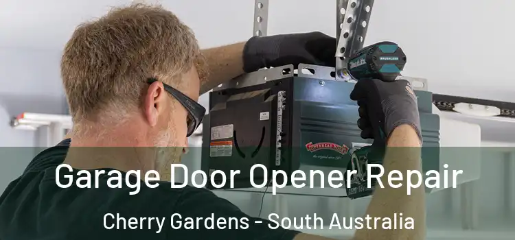 Garage Door Opener Repair Cherry Gardens - South Australia