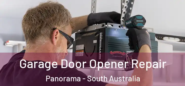 Garage Door Opener Repair Panorama - South Australia