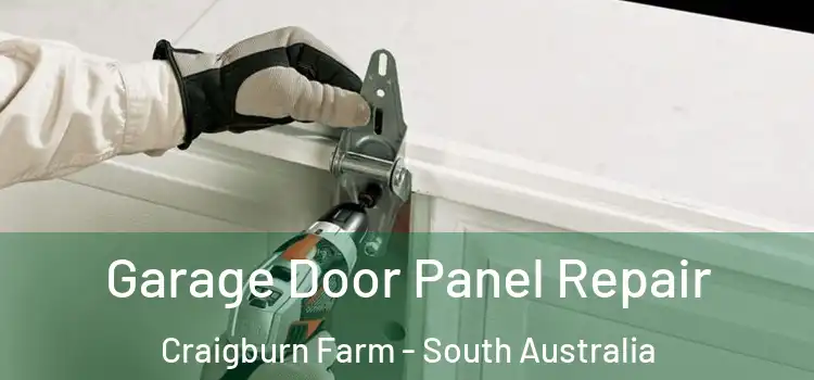 Garage Door Panel Repair Craigburn Farm - South Australia