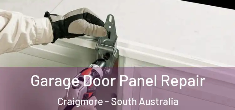 Garage Door Panel Repair Craigmore - South Australia