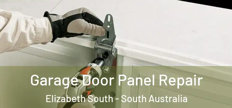 Garage Door Panel Repair Elizabeth South - South Australia