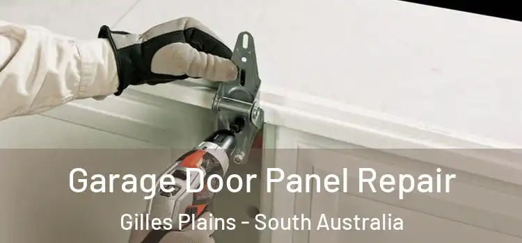 Garage Door Panel Repair Gilles Plains - South Australia