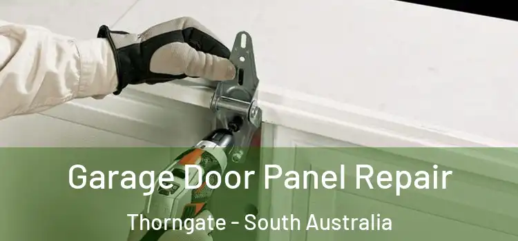 Garage Door Panel Repair Thorngate - South Australia