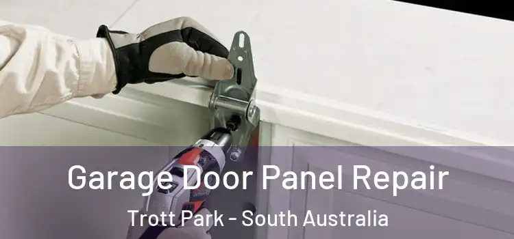Garage Door Panel Repair Trott Park - South Australia