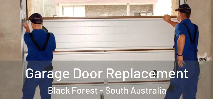 Garage Door Replacement Black Forest - South Australia