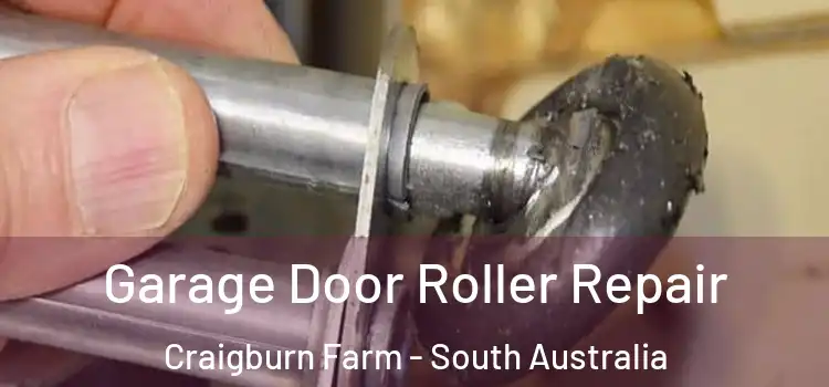 Garage Door Roller Repair Craigburn Farm - South Australia