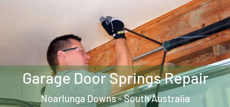 Garage Door Springs Repair Noarlunga Downs - South Australia