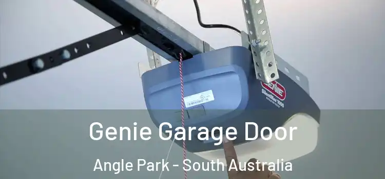 Genie Garage Door Angle Park - South Australia