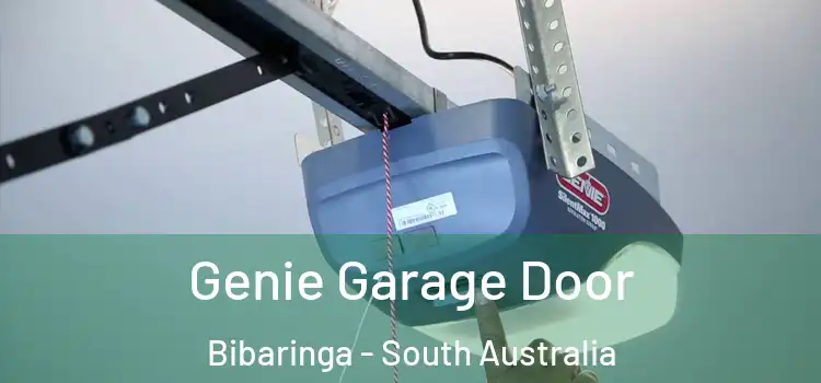 Genie Garage Door Bibaringa - South Australia