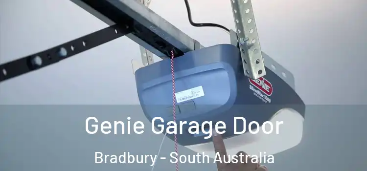 Genie Garage Door Bradbury - South Australia