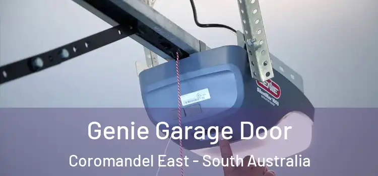 Genie Garage Door Coromandel East - South Australia