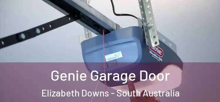 Genie Garage Door Elizabeth Downs - South Australia