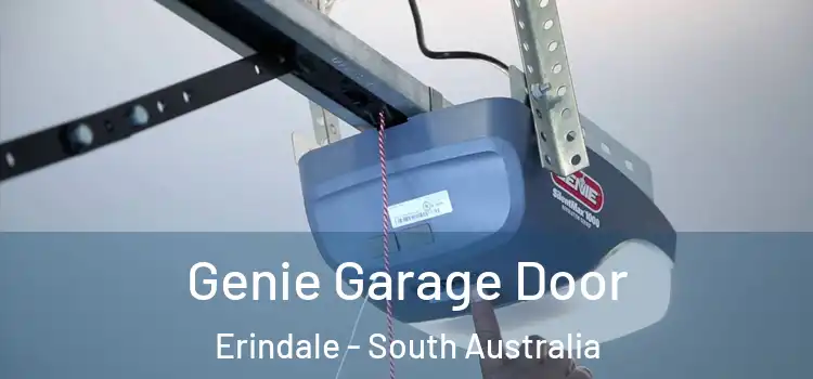 Genie Garage Door Erindale - South Australia