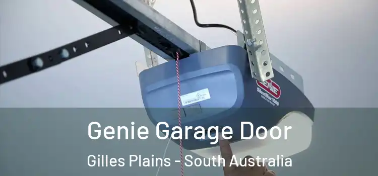 Genie Garage Door Gilles Plains - South Australia