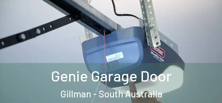 Genie Garage Door Gillman - South Australia