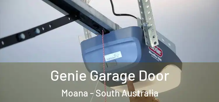 Genie Garage Door Moana - South Australia