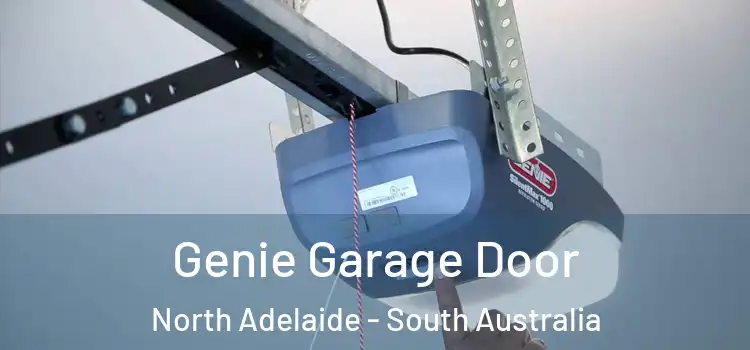 Genie Garage Door North Adelaide - South Australia