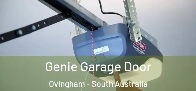 Genie Garage Door Ovingham - South Australia