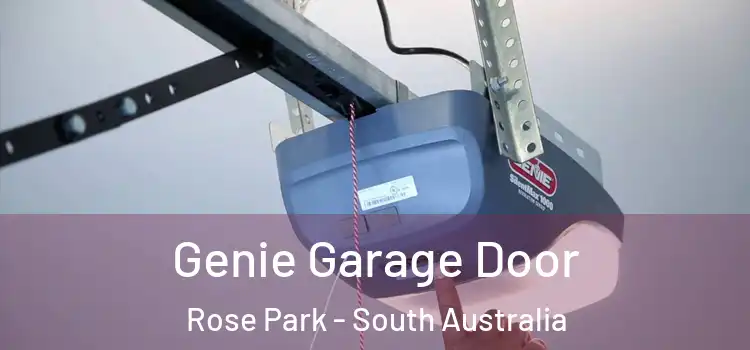 Genie Garage Door Rose Park - South Australia