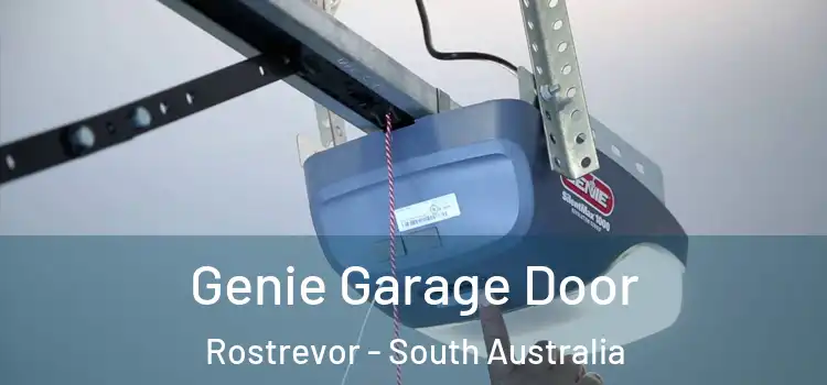 Genie Garage Door Rostrevor - South Australia