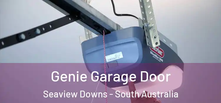 Genie Garage Door Seaview Downs - South Australia