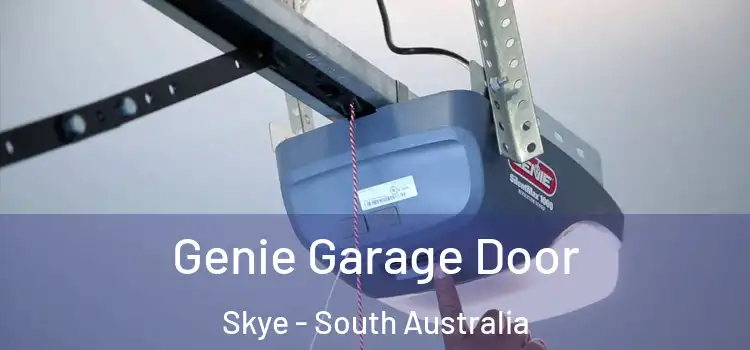 Genie Garage Door Skye - South Australia