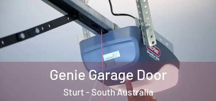 Genie Garage Door Sturt - South Australia