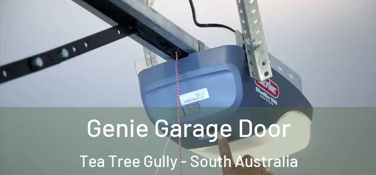 Genie Garage Door Tea Tree Gully - South Australia