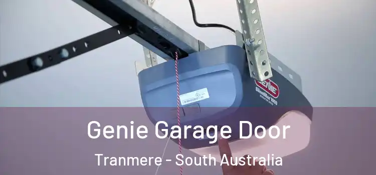 Genie Garage Door Tranmere - South Australia