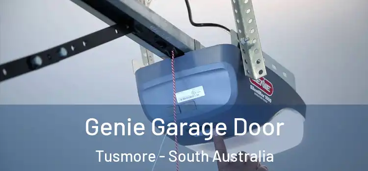 Genie Garage Door Tusmore - South Australia