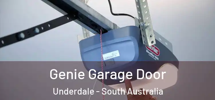 Genie Garage Door Underdale - South Australia