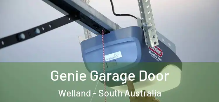Genie Garage Door Welland - South Australia