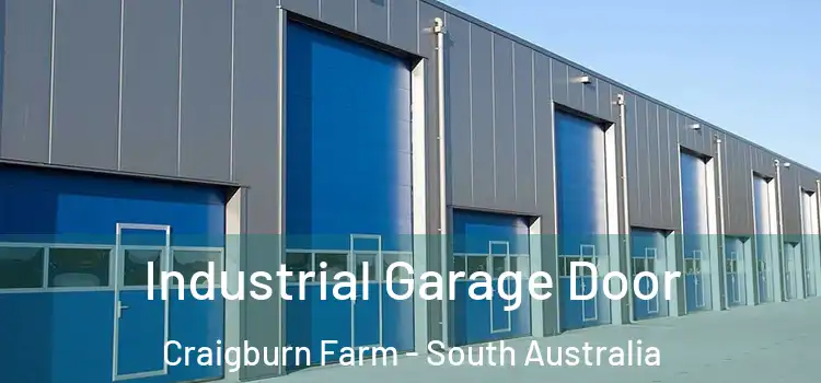Industrial Garage Door Craigburn Farm - South Australia