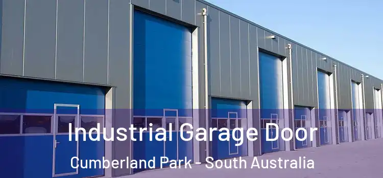 Industrial Garage Door Cumberland Park - South Australia