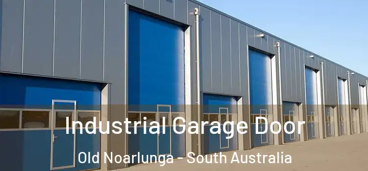 Industrial Garage Door Old Noarlunga - South Australia